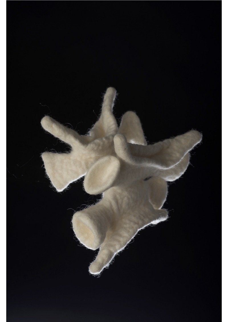 Felt sculpture by Pearl Taylor